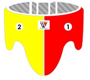 Winning Standard Cut Groin Protector - Custom Colors